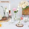 Kleine transparente Blumenvase Heimdeko Mittelstück für Wohnzimmer und Schlafzimmer, Dekorative Vasen für Hochzeit, Valentinstag, Muttertag
