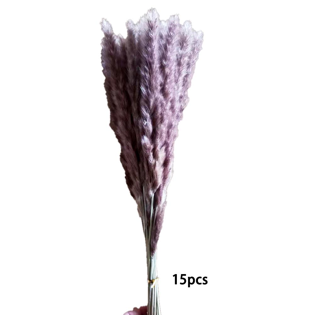 1 Bunch Dried  Reed Flowers Natural Plant Dried Pampas Grass Ornaments For Living Room Dining Tables Party Hallways Decoration