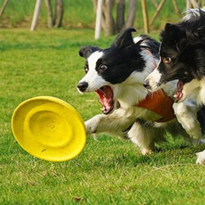 Ding Dong Pet Large Dog Frisbee Discus 21cm, Yellow, 1 Piece
