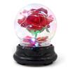 Mother Day Gift Dried Flowers Eternal Real Rose Home Decor with LED In Glass Dome Valentine's Day Gift Rose Round Lamp Ornaments