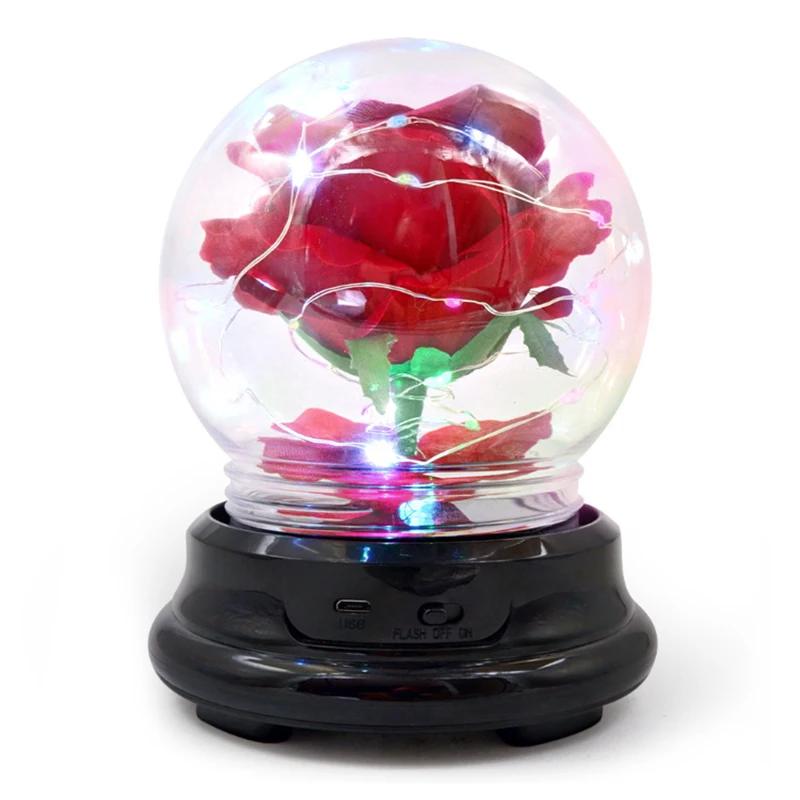 Mother Day Gift Dried Flowers Eternal Real Rose Home Decor with LED In Glass Dome Valentine's Day Gift Rose Round Lamp Ornaments