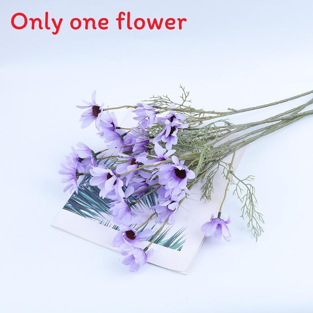 

Symphyotrichum Novi Belgii Bouquet For Wedding Decor And Outdoor Event Light Purple