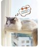 Window Cat Hammock Suction Cup Bed for Sunbathing - Kitten Hanging Nest for Glass Balcony