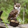 Realistic Simulation Resin Owl Statue For Repelling Birds Home Indoor Outdoor Terrace Lawn Garden Courtyard Decoration