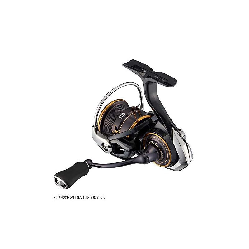 Daiwa Spinning 21 Caldia LT3000-CXH