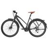 Bicicletă electrică Fafrees F700W, motor 250W, baterie 36V 10Ah, 9 viteze