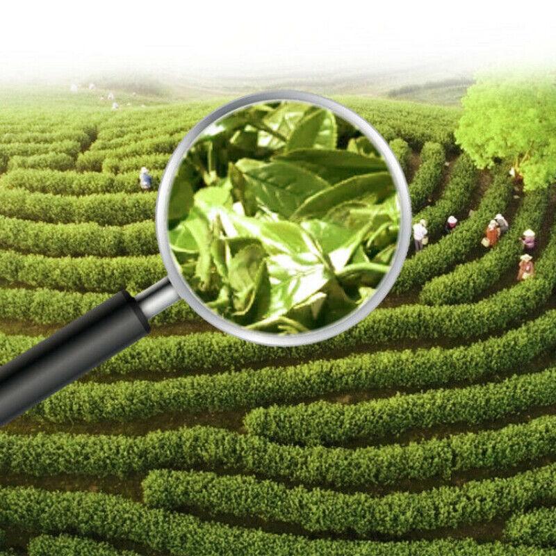 China Tea Organic Fuding Supreme Bai Mu Dan White Peony Cake White Tea 330g