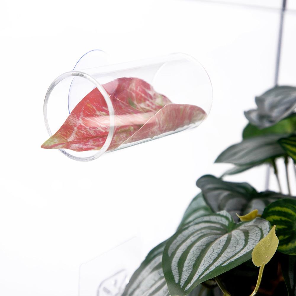 Transparent Aquarium Betta Fish Tunnel With Leaves Pad Betta Fish Tank Decorations