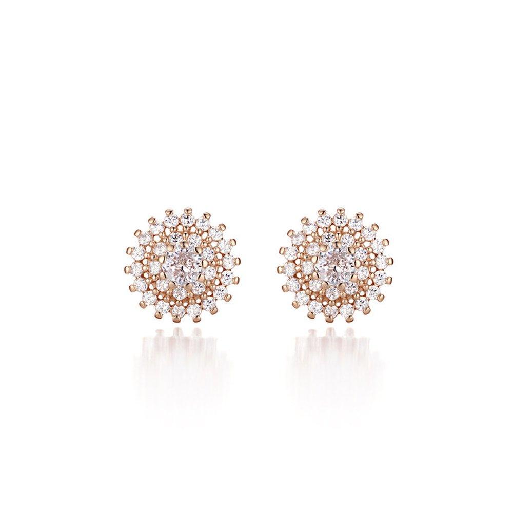 14K Sunbling Earrings (Gold Filled) C24Egf066