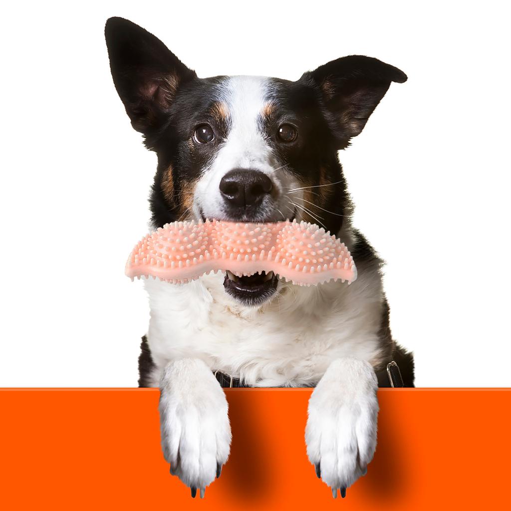 Puppies Toys for Teething -Soothes Itchy and Painful Teeth -360°Cleaning Mouth