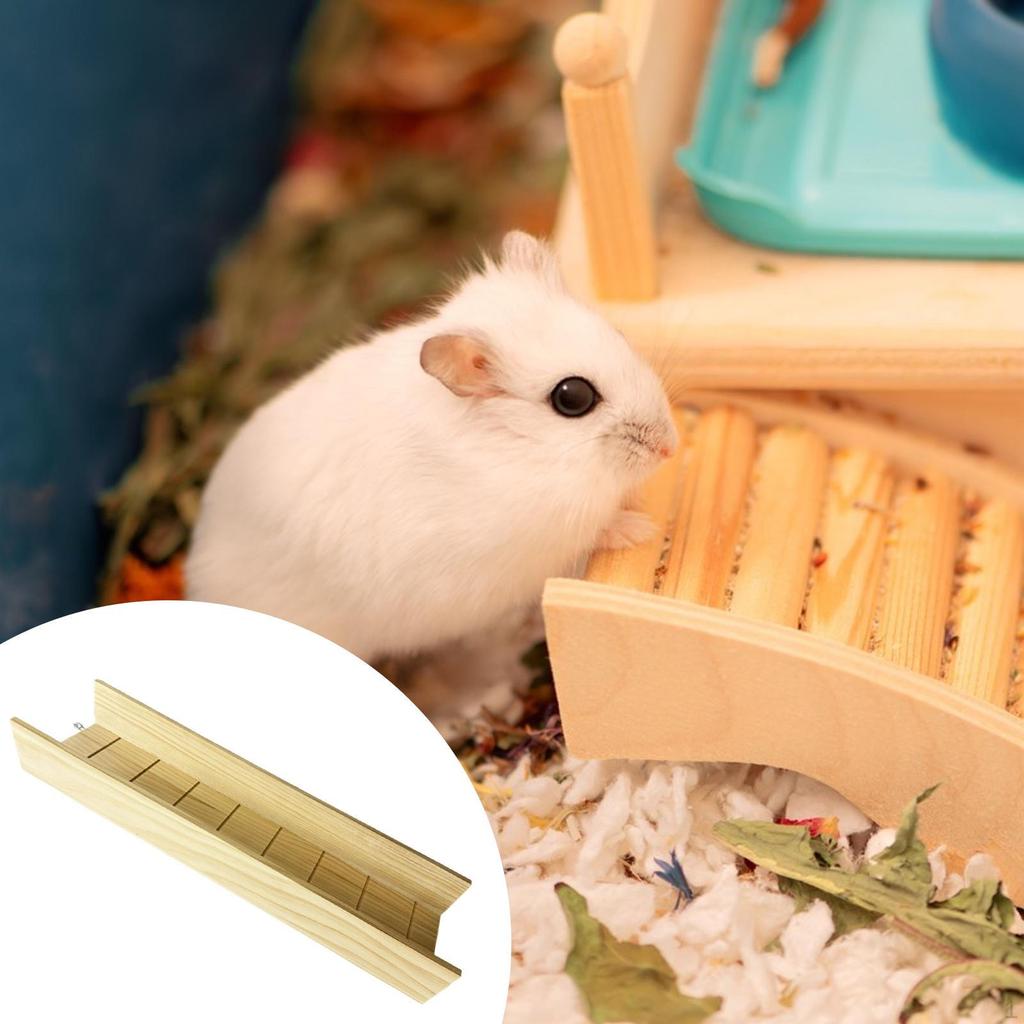 Hamster Climbing Ladder Playing Funny Stable Rest Exercise for Guinea Pigs Hamsters Similar Sized