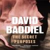 The Secret Purposes by David Baddiel Paperback Book 9780349117461