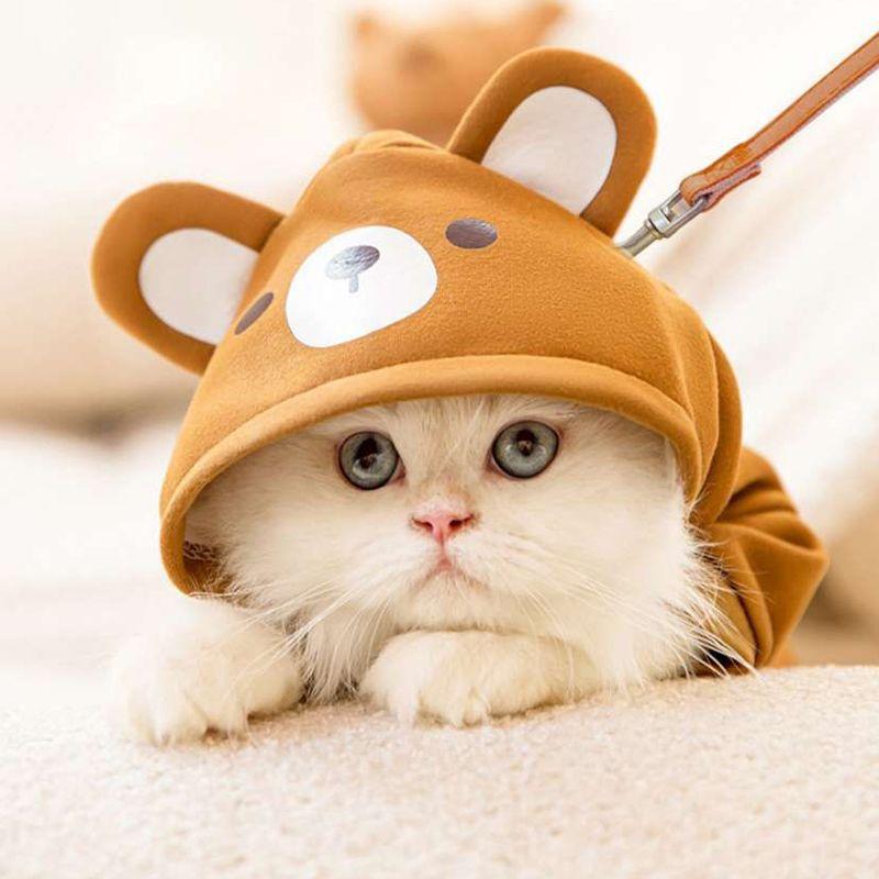 Abbigliamento per animali domestici Vestiti per cuccioli Teddy/gatto Pomerania Piccolo cane Autunno e inverno Abbigliamento autunnale Abbigliamento per animali a quattro zampe