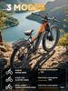 PULUMA PE86 Electric Bicycle 26*3.0 Fat Tire 48V20AH Battery 2000W Motor 50KM/H Torque Sensor Electric Bike Throttle Ebike VTT