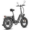 FAFREES FF20 Polar Electric Bicycle 500W Motor, 48V 26.8Ah Batter, 100KM Range, 20*4.0 Inch Fat Tires E-Bike