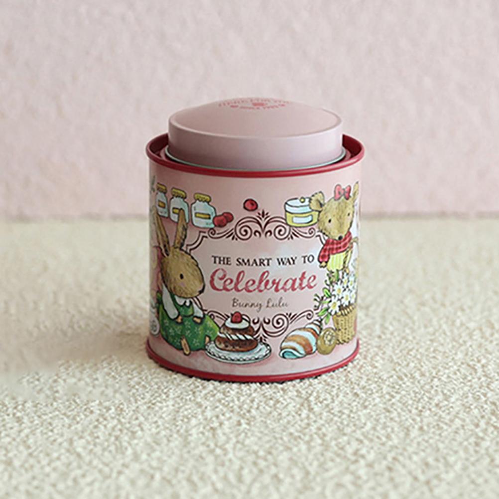 Cartoon Jellycat Rabbit Suitcase Storage Tin Candy Cookie Box Round Metal Jewelry Organizer For Wedding Birthday Party Gift Box