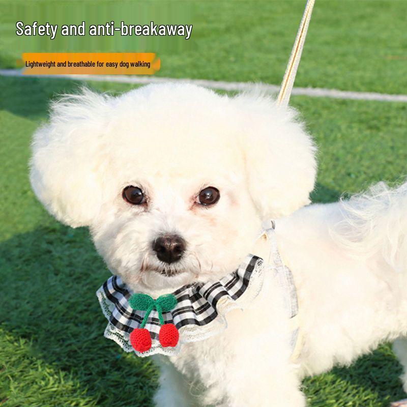 Anti-Escape Dog & Cat Leash with Cute Puppy Harness