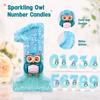Number Birthday Candles 0-9, Decorations for Birthday Party and Celebrations