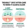 [Acnes] 3 Sec Calming All Clear Spot Patch (8mm x 24p + 10mm x 42p Set, 66 patches)