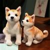 Hot New Akita Dog Plush Toy Cute Simulation Dog Shiba Inu Fluffy Soothing Girl Doll Birthday Gift Car