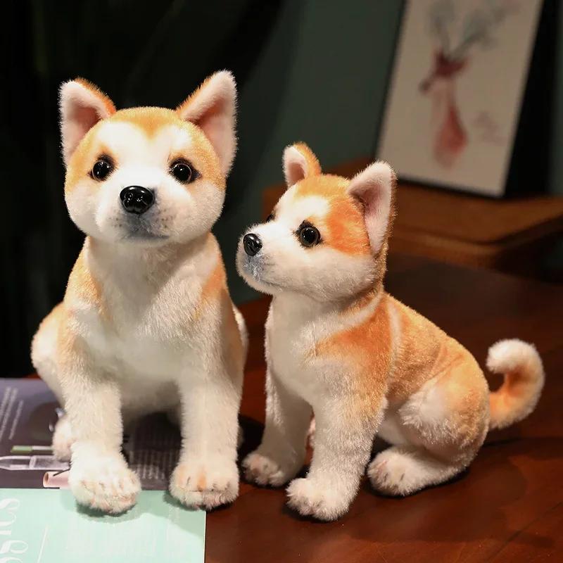 Hot new Akita dog plush toy Cute simulation dog Shiba Inu fluffy soothing girl doll birthday gift car
