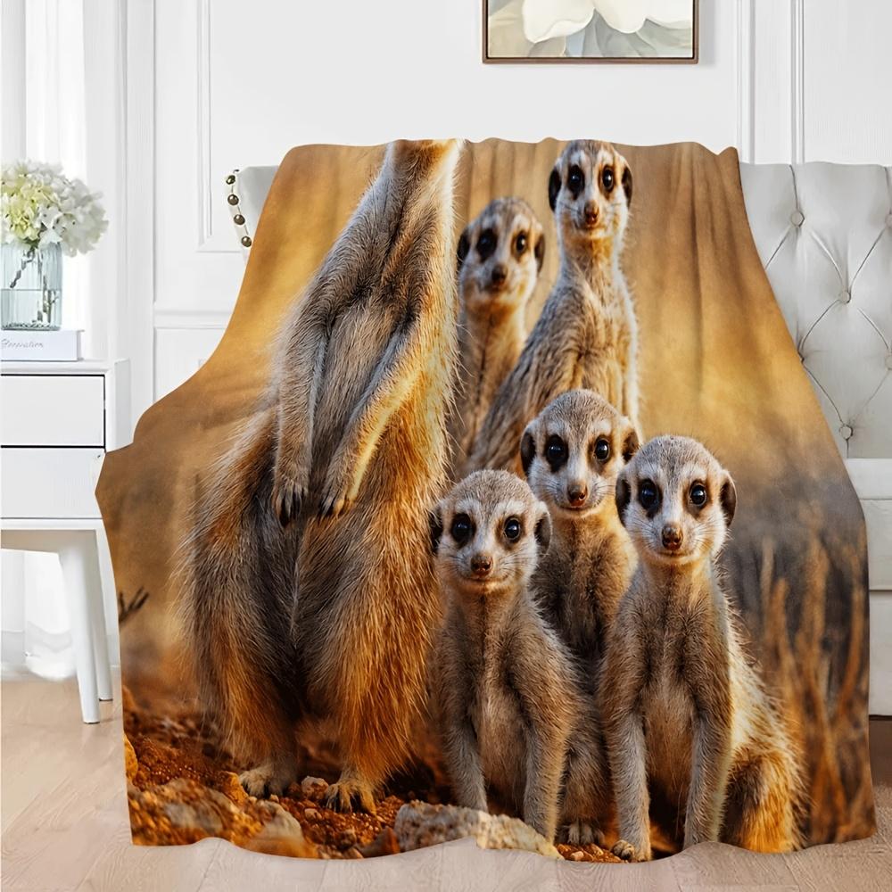 Meerkat Family Desert Landscape Flannel Blanket Ultra Soft Light Warm Multi-scene Throw For Bed Sofa Camping Car Office