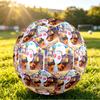 Size 5 FootballPikmin Durable PU Soccer Ball for Sports Training Outdoor Competition
