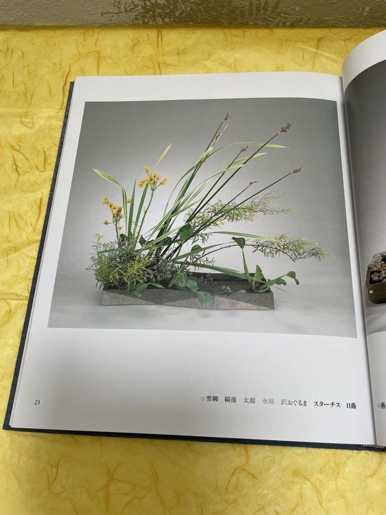 [USED] Arranging Waterside Nature-Based Waterworks Collection Ohara School Ohara School Editorial Office Flower Arrangement Fresh Flowers Ikebana