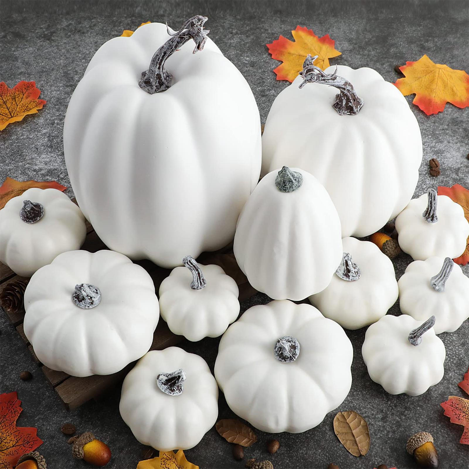 

Artificial Pumpkin Assortment, Set of 12 Pieces for Fall And Halloween Decor White