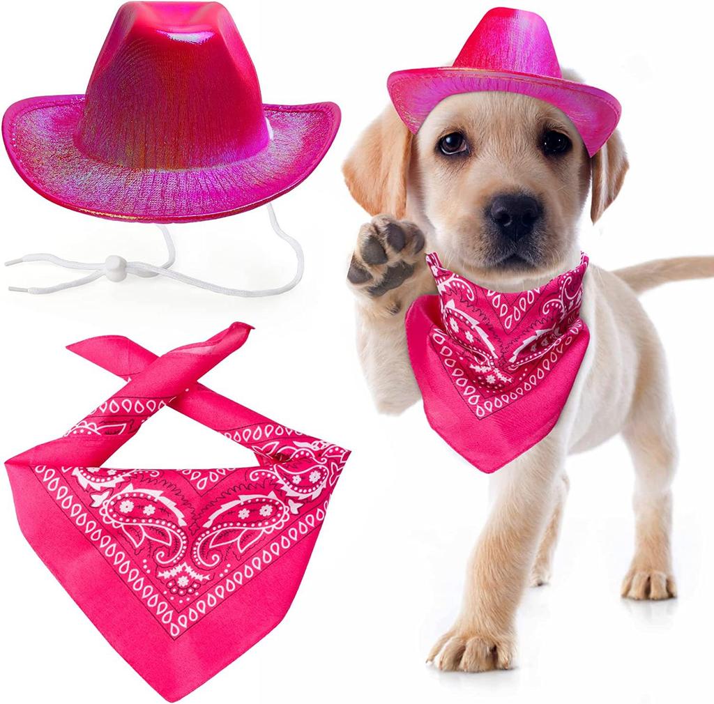 Pet Neon Shiny Space Cowboy Hat Clothing Set Dog Cat Symphony Cowboy Hat Western Cowboy Accessories