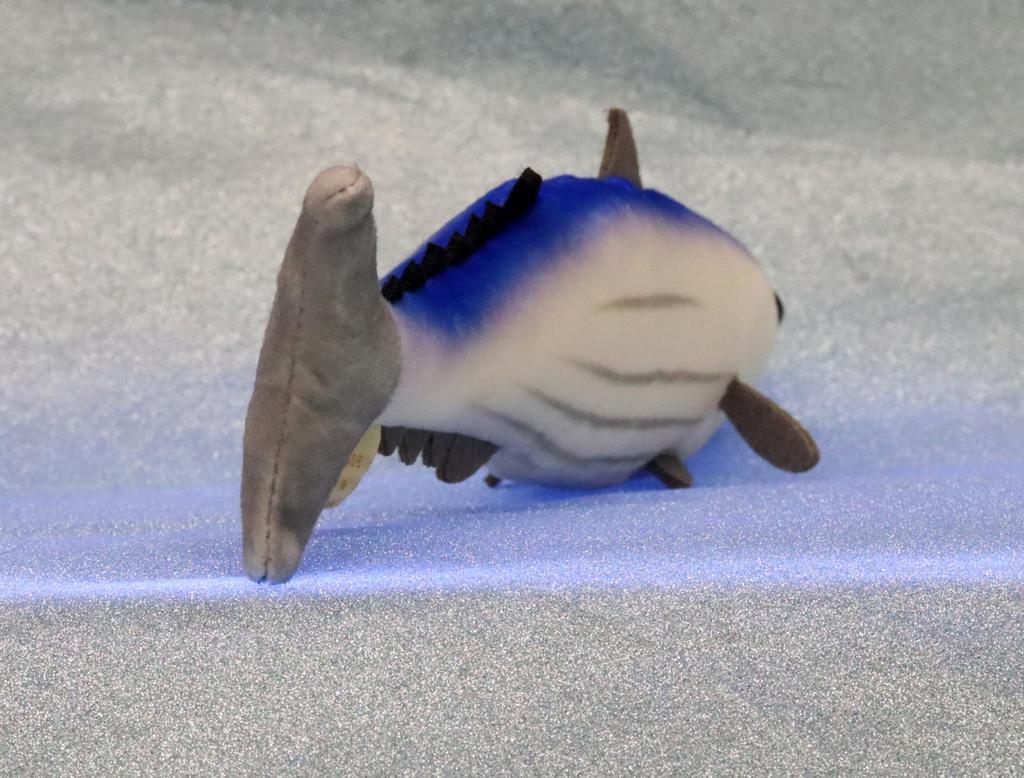 Take Off Pish - A small, colorful fish plush toy that makes a "beep" sound when you press its belly.