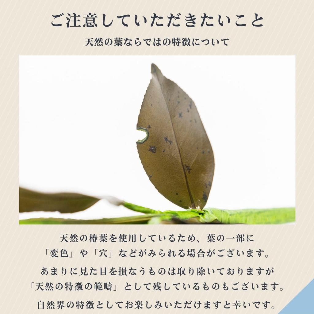 A&K Sakaki Preserved Flowers (MediumPair) - Never Wither, Not Artificial, No Watering Required, Made In Japan, Tanba, Shinto Altar Decoration,