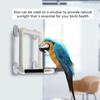Portable Parrots Birds Perch with Suction Cups Window Shower Bath Wall Plastic Standing Toy