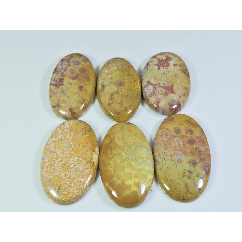 06Pcs Natural Fossil Coral Oval Cabochon Loose Gemstone Lot 260Cts. A-743