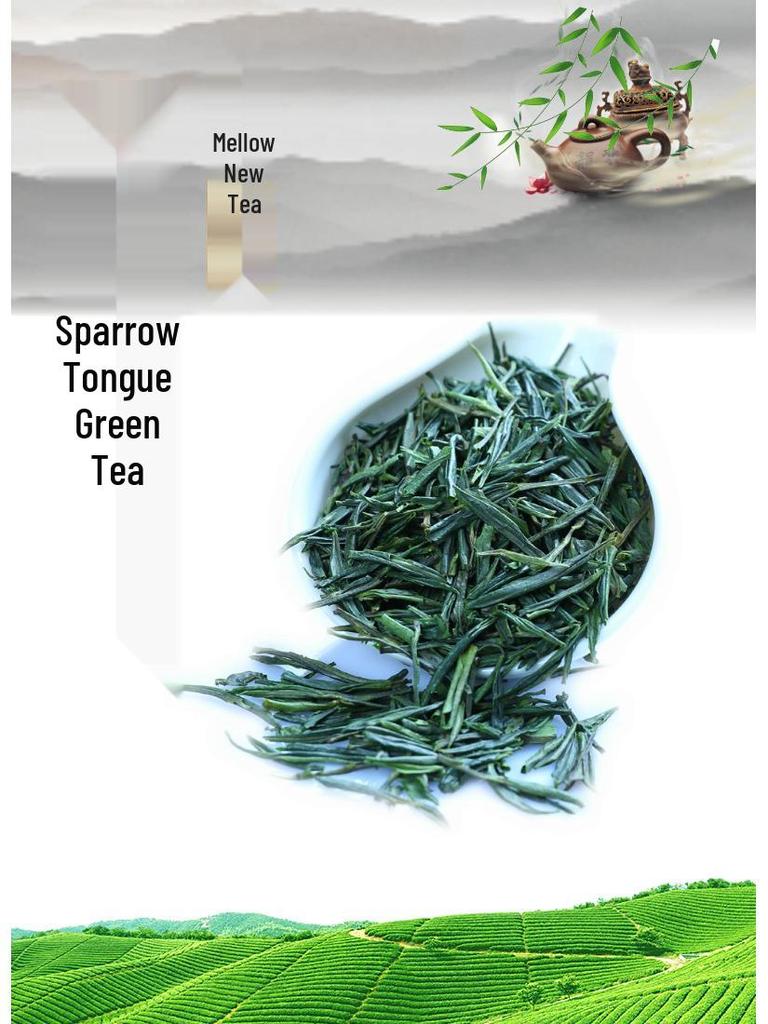 Emeishan Cloud & Mist Pre-Rain Green Tea: Tender Buds, Light Fragrance, Bamboo Leaf, Green Needle & Sparrow Tongue