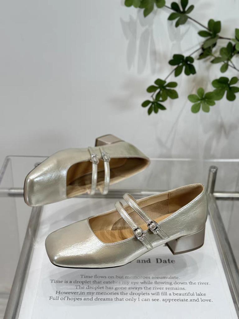 Xiaoxiangfeng light mouth double buckle with Mary Jane shoes women's 2025 autumn new fashion silver with skirt thick heel single shoes