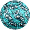 BlueLock Theme Size 5 Soccer Ball, Suitable for Both Indoor and Outdoor Matches, a Gift Suitable for Everyone.