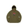 Supreme Portrait Hoodie 'Grey Red Black' Men's SUP-FW20-014