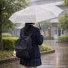 Thickened Folding Umbrella Portable Transparent Umbrella Trendy Style Frosted Umbrella  Rainy Day