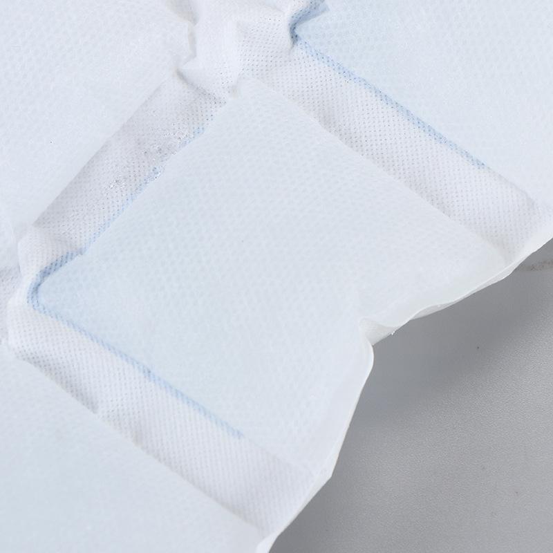 Self-Absorbing Compartment Ice Pack: No Water Needed, Express Delivery, Ideal for Fresh Food, Disposable