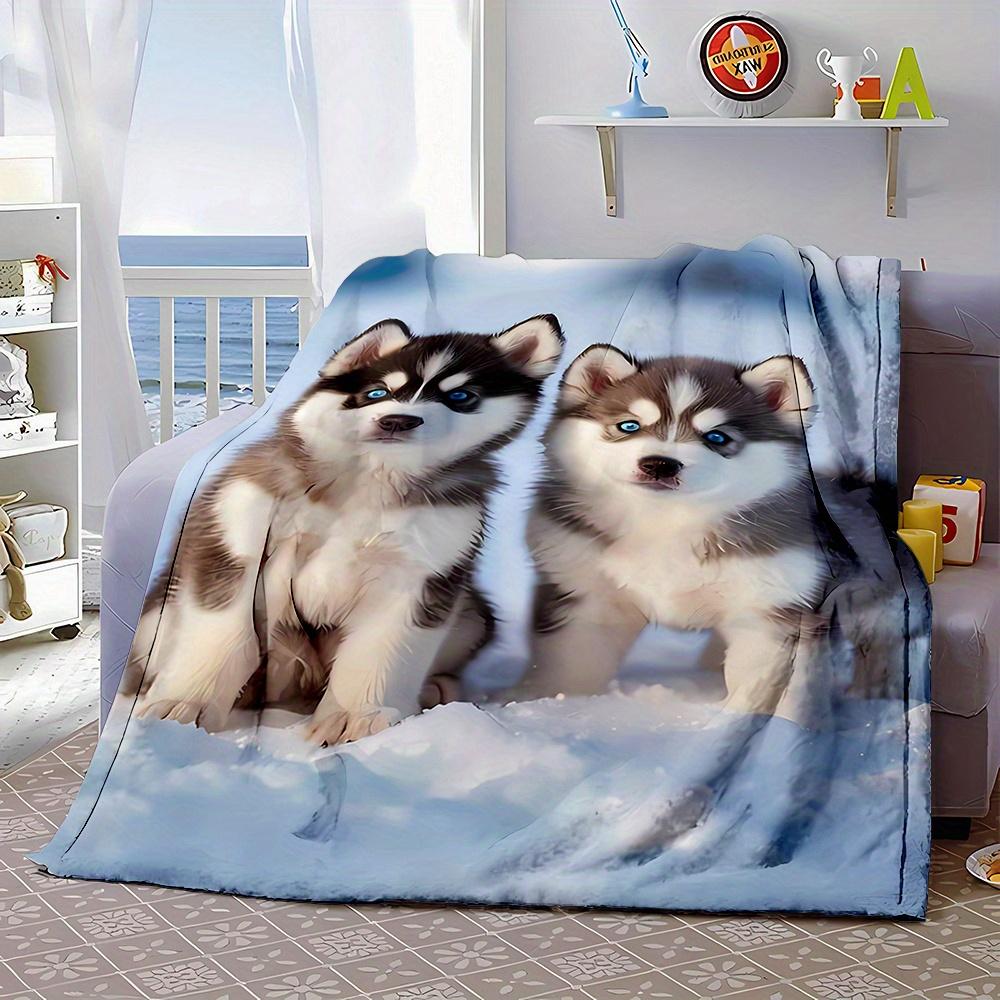 Design Pattern of a Husky Puppy Flannel Printed Blanket Suitable for All Seasons Suitable for Living Room Office Sofa and Travel