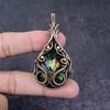Natural Carved Ammolite Gemstone Handmade Copper Wire Wrap Pendant 2.6" g4D98