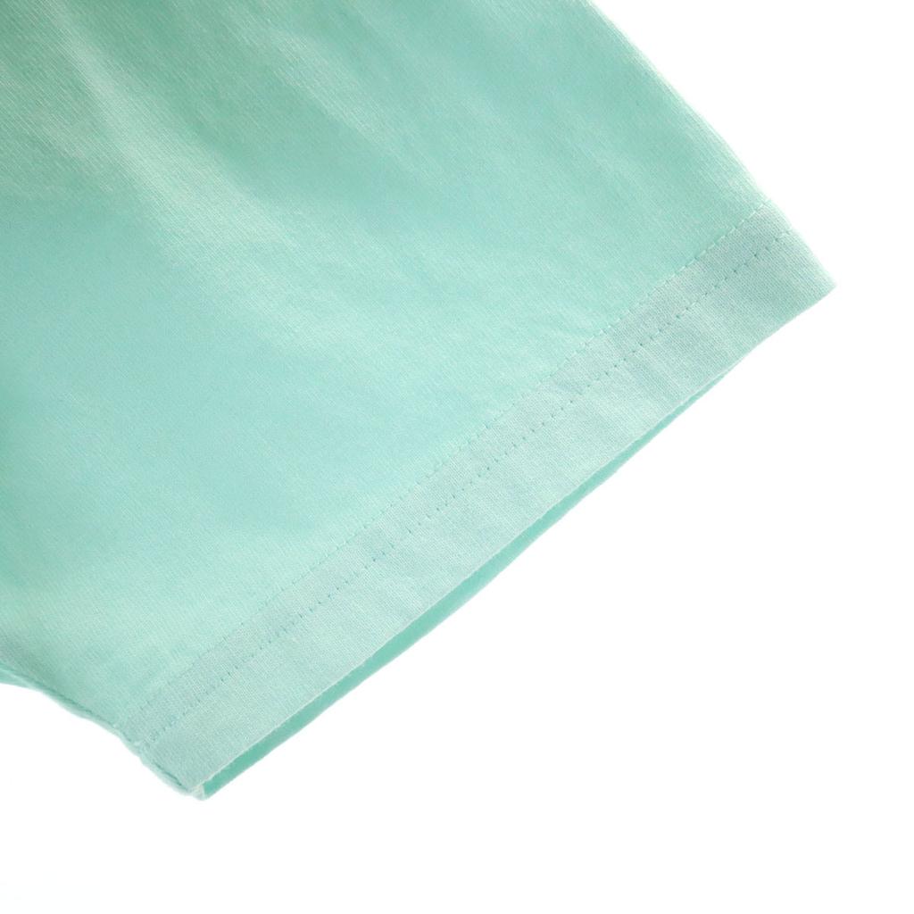 Manhattan Portage Back English Print Short Sleeve T-shirt M Mint Green Men's Used