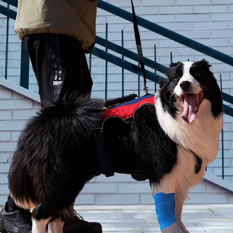 Askeri Taktik Köpek Tasması Saplı Çekmez Yelek Eğitim Büyük Köpekler