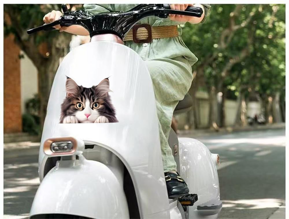 2 Cute Kittens Pack of Vinyl Decals Stickers, Covered Waterproof