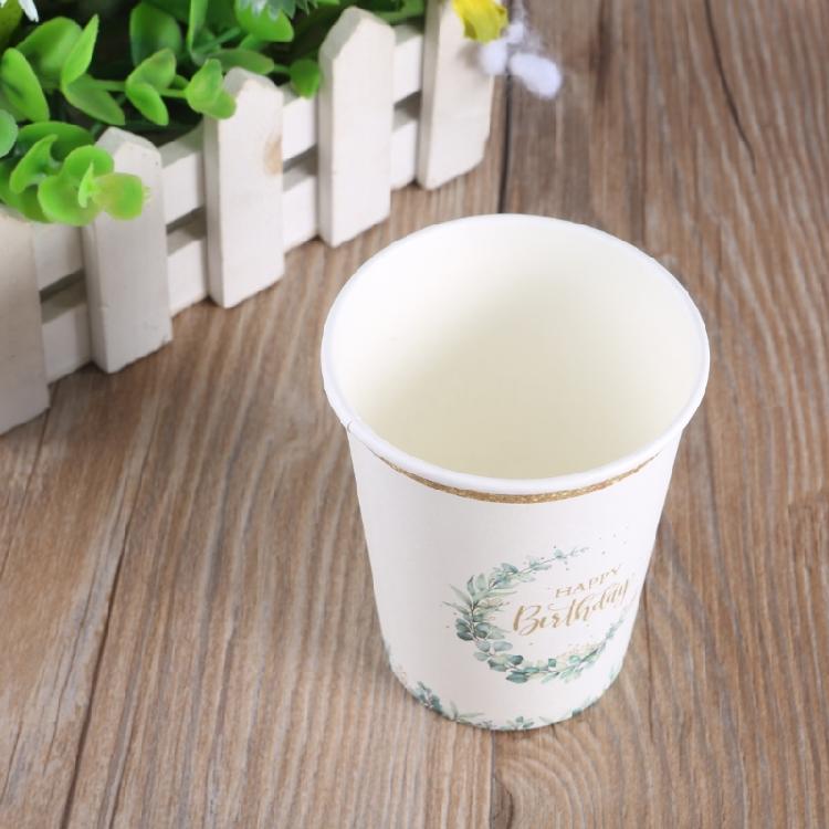 Party Theme Disposable Tablewares Paper Cups Plate Tablecloths Dishes