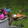 Bird Statue With Branch Adornment Micro Landscape Gift For Mom Realistic Bird Figurine For Balcony Yard Cabinet Garden Indoor