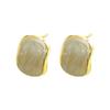 Geometric Glue Brushed Earrings Fashionable Temperament Light Luxury High-end Simple Earrings Niche