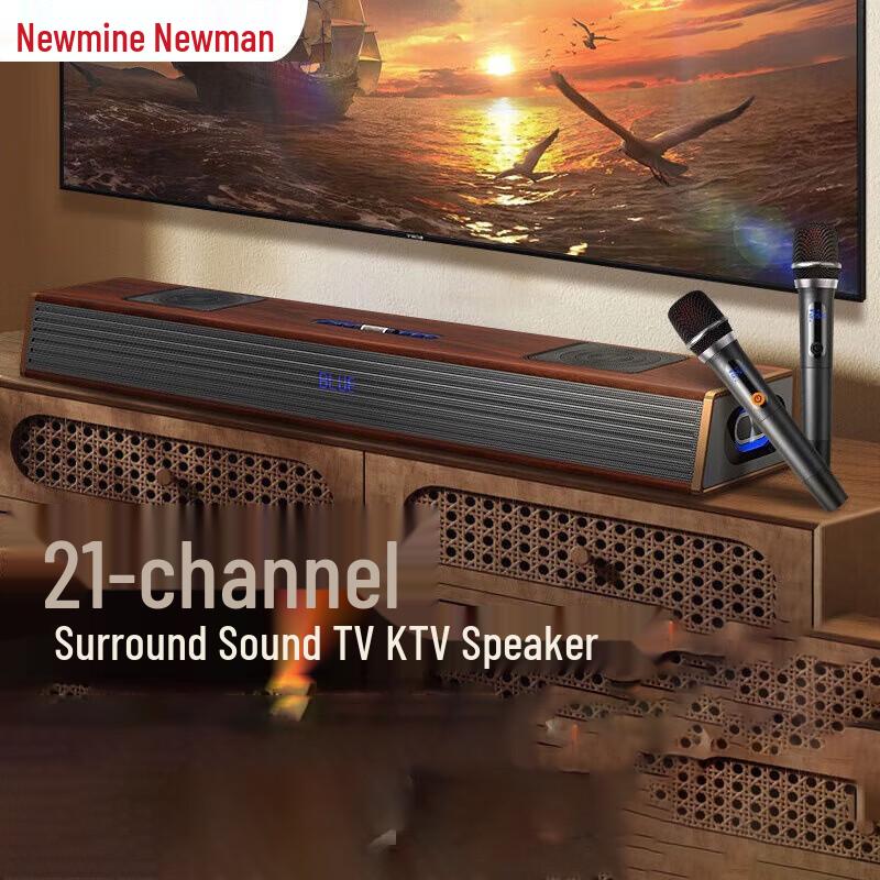 

Newmine G69 Wireless Bluetooth KTV Speaker System