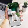 Für Xiaomi Poco M7 4G Hülle M7Plus Weiches TPU Silikon Handyhülle Coque Für Xiaomi POCO M7 Plus M7+ Fundas Capa Kameraschutz